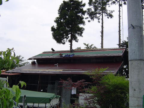 ���C�����b�h�̉����̐F�ŁA�H�����ł��B