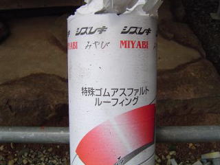 �j��Ȃ��B�B���V�[�������Q�̗D����̂ł��B