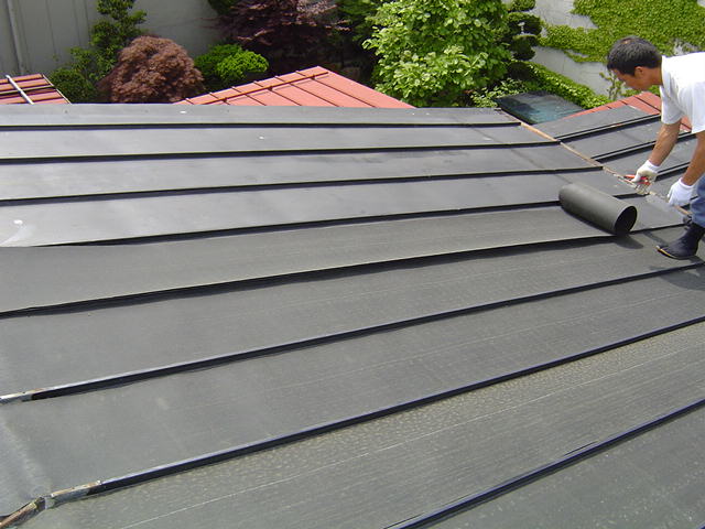 �������Q�d�ɂȂ�̂ŁA�J���E�f�M���ʂ��t�o���܂��B