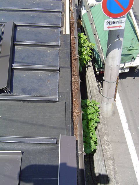 �O�W���@���_���ڂł��B