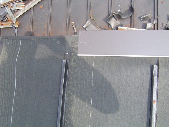 �g�[�G�[���@���_���ڂł��B