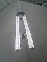 ���؂̊ԂɁA���C�����J���āA�����������܂��B