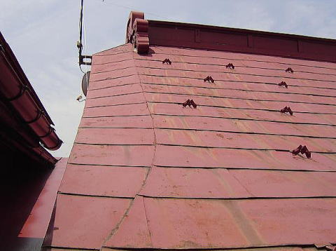 ���̉���A�S�����ѐ��ł��B