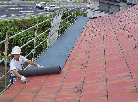 �n�[���ׂ�āA�����؂�Ȃ��Ȃ��Ă��܂����B