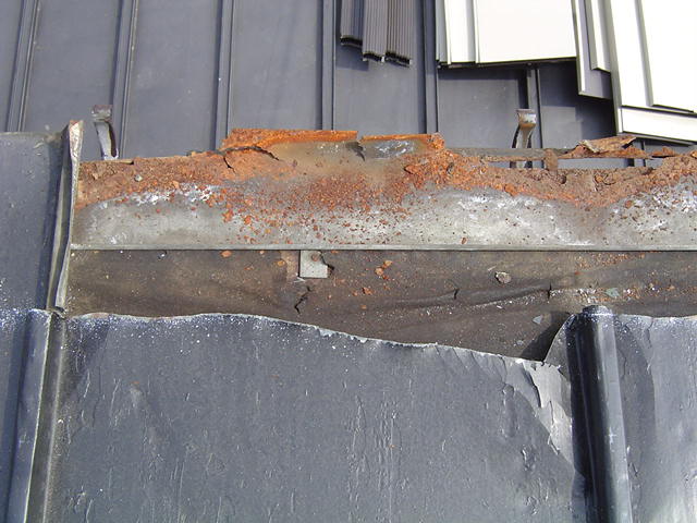 �����͂��܂߂ɓh�����Ă����݂����ł����A����܂ł́A�ی�ł��܂���B