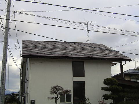 �����ڂɂȂ�A��������Ƃ��������Ɍ����܂��B